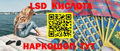 стаф Камышлов