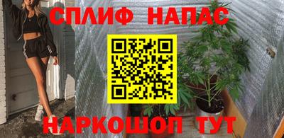 стаф Камышлов