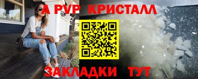стаф Камышлов