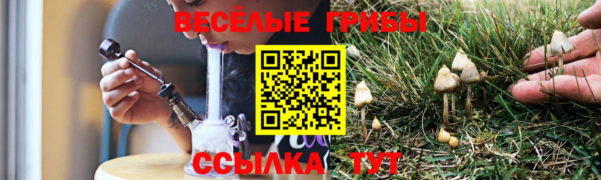 Псилоцибиновые грибы ЛСД  Галлюциногенные грибы Psilocybine cubensis  Зеленодольск  Вход с VPN 